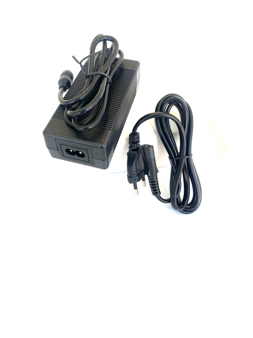 Caricabatterie universale monopattino elettrico 36V
